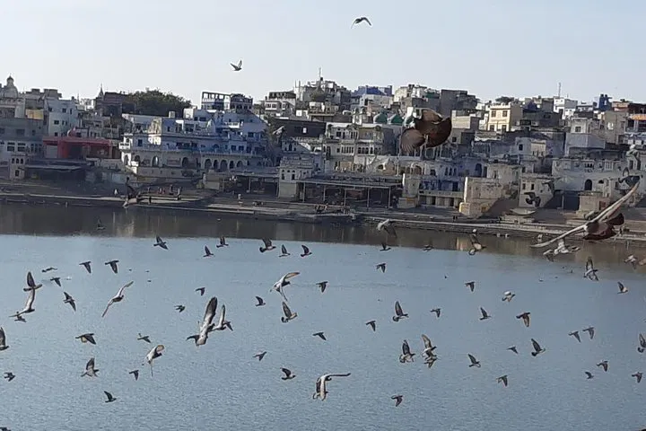 img0