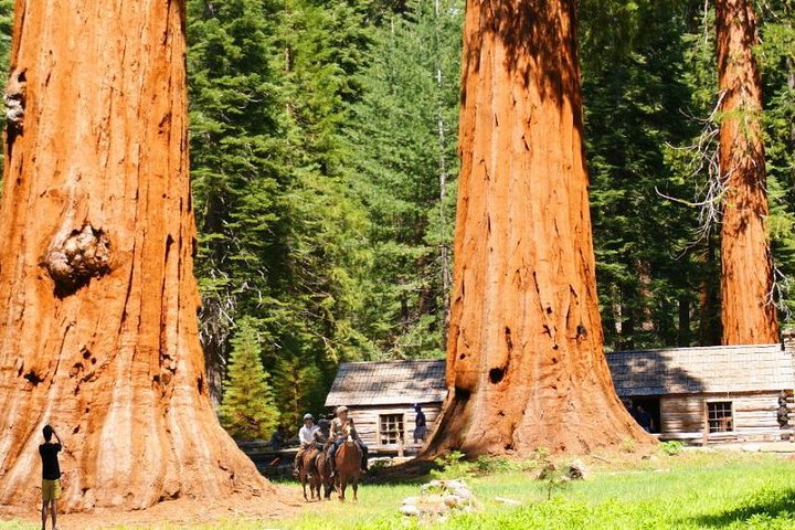 Experience Image img4