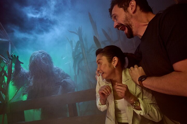 Experience Image img1