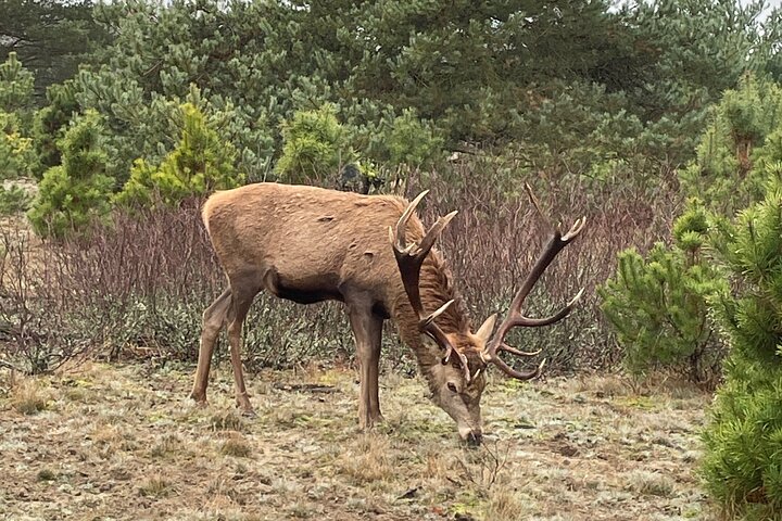 Experience Image img1