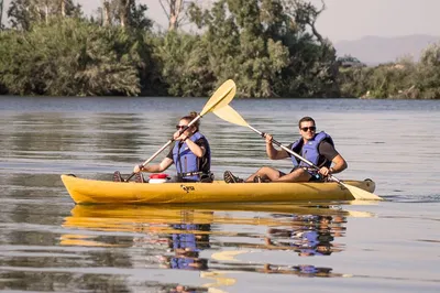 Discover the Ebro Delta: Guided Kayak Adventure to Gracia Island