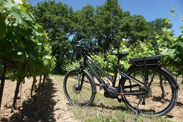 Explore Luberon's Charm: E-Bike Adventures Await!