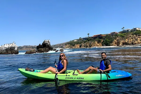 Laguna Beach Kayak Tour: Sea Lions & Marine Preserve