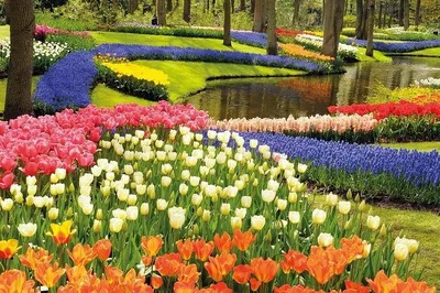 Keukenhof Tulips & Delft: A Luxurious Day Trip from Brussels