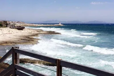 Explore Marseille & Provence: An Authentic Local's Tour