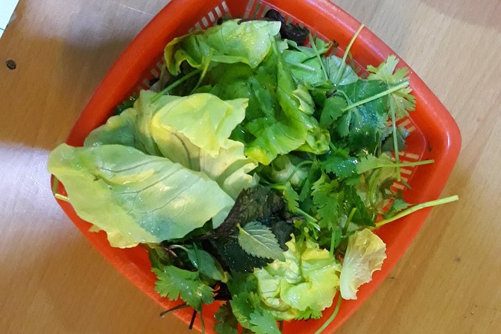 Experience Image img4