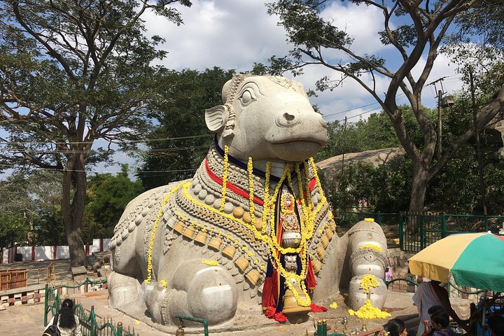 Experience Image img3