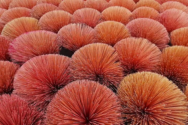 Immersive Incense: A Private Cultural Photography Tour of Quang Phu Cau Village