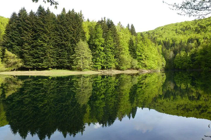 img0