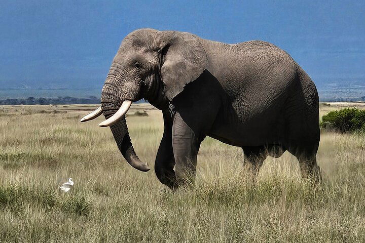 Experience Image img4