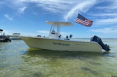 Madeira Beach Boat Tour: Dolphins, Shell Key & Beaches!