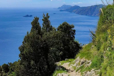 Hike Path of the Gods: Amalfi Coast Trekking Tour