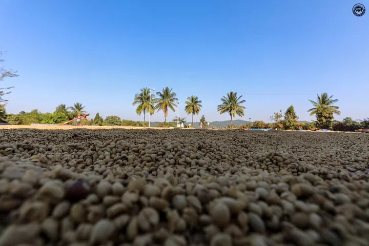 img0