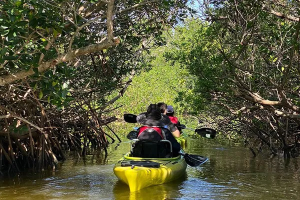 Encounter Gentle Giants: Cocoa Beach Manatee & Dolphin Kayak Adventure!