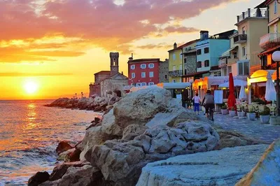 Piran & Coast Tour: Taste Slovenia from Koper!