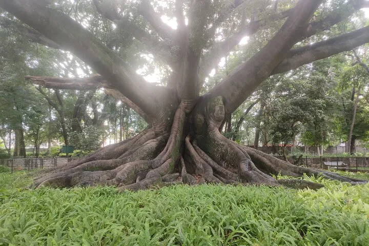 img0