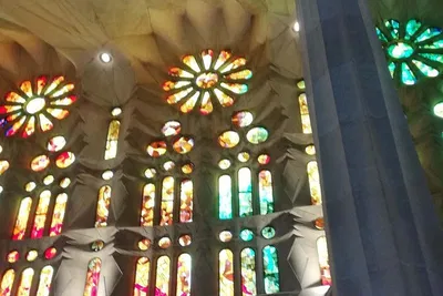 Image 2