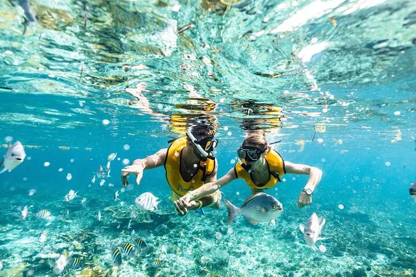 Cancun's Aquatic Wonders: Snorkel with Turtles, Shipwrecks, and Cenotes!