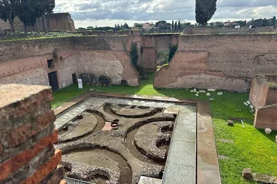 Unveiling Ancient Rome: Exclusive Colosseum & Super Sites Private Tour
