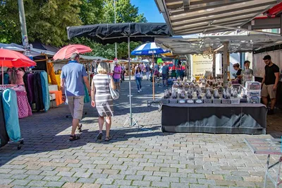 Unveiling Berlin-Mitte: A Local's Immersive Walking Tour