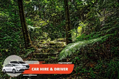 Explore Bach Ma Hassle-Free: Private Car & Driver from Hoi An