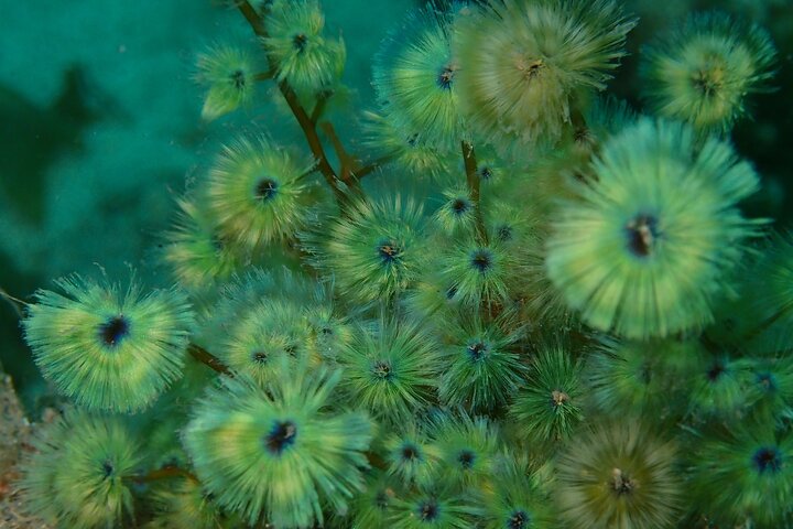 Experience Image img2