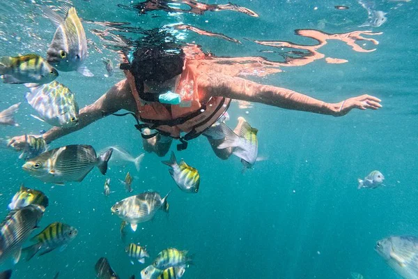Swim with Fish & Zipline: Puerto Vallarta Adventure!
