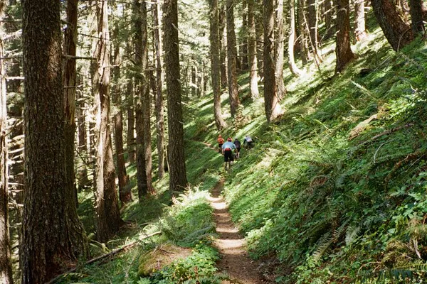Unleash Your Inner Mountain Biker: Private Eastside Adventure!