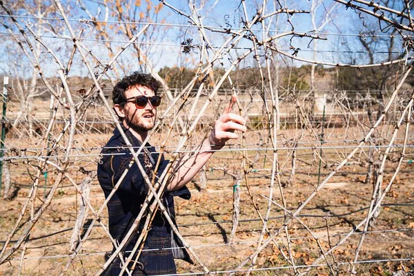 Vineyard Tour & Barrel Tasting: Wine Lover's Delight