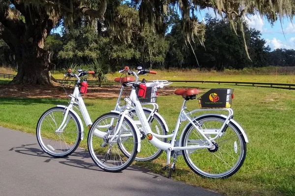 Explore The Villages, Florida: Bicycle Rental with Free Delivery!