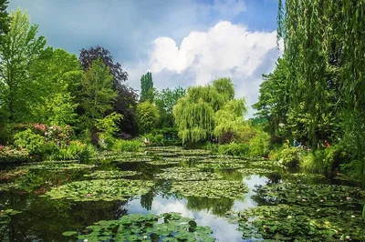 Giverny Private Day Trip from Paris by Local Driver