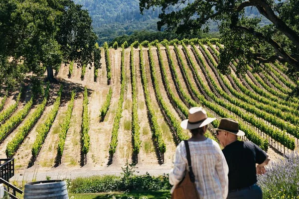 Uncork Napa & Sonoma: Luxurious Wine Country Escape from San Francisco