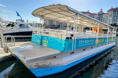 Clearwater Dolphin & Sandbar Adventure | Guaranteed Sighting