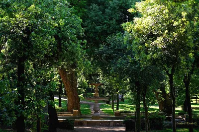 Rome's Artistic Side: A Photo Tour & Workshop Adventure