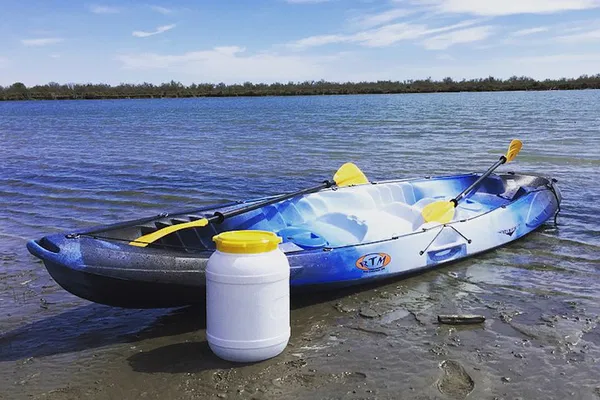 Camargue Safari: 4x4 Adventure, Riverside Picnic & Kayak Descent