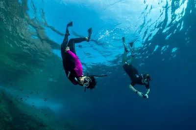 Dive into Wonder: Snorkeling Adventure in Portofino's Marine Paradise