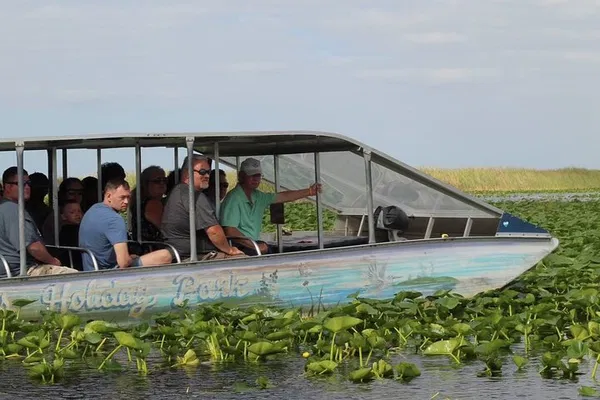 Everglades Tour from Miami: Airboat Ride & Wildlife Show