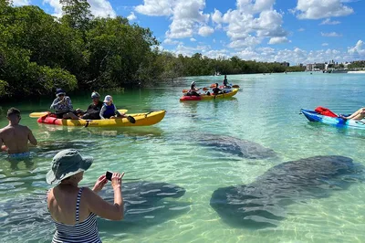 Paddle Through Paradise: Bonita Springs Self-Guided Kayak & SUP Adventure