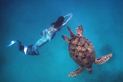 Waikiki Sunrise Snorkel on 'Moana' Catamaran