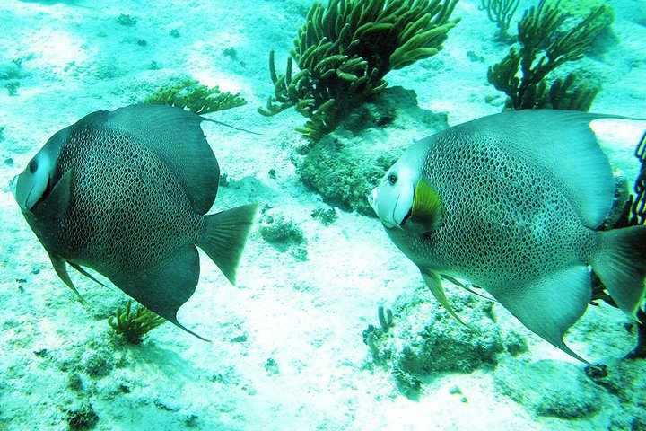 Experience Image img2