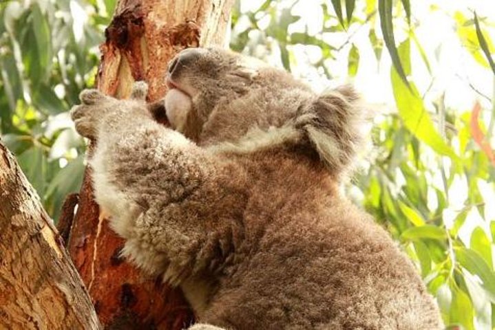 Experience Image img2