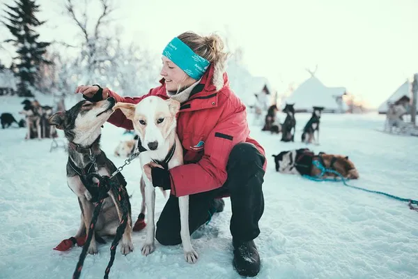 Arctic Adventure: Mush Your Own Husky Team in Tromso!