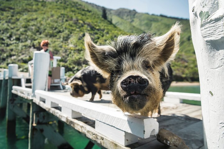 Experience Image img2