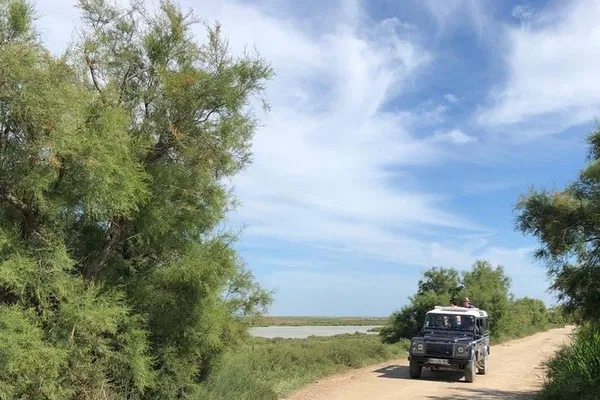 Camargue 4x4 Safari: Unearth the Wild Heart of Arles