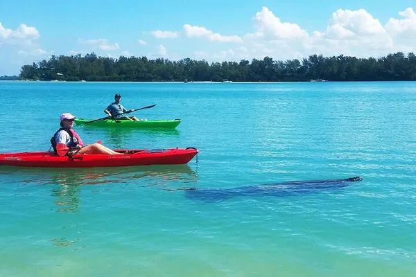 Glide Through Paradise: Kayaking & Dolphin Encounters in Longboat Key