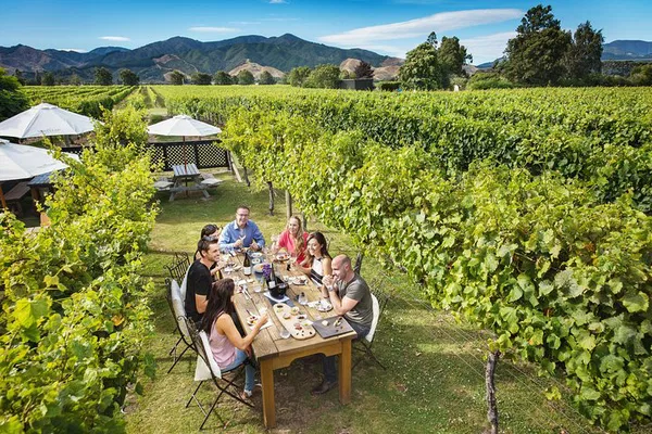 Cloudy Bay Wine Tour: Gourmet Lunch & Tastings