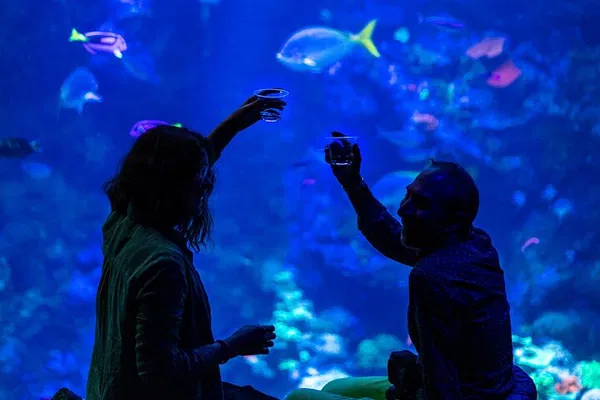 NightLife at California Academy of Sciences: VIP Tickets