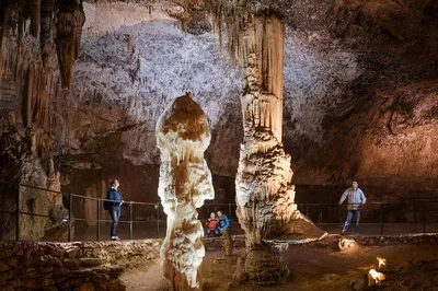Postojna Cave Tour: Ride a Train in Slovenia's Famous Cave