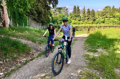 Pedal & Sip: Lake Garda E-Bike Wine Tour in Valtenesi!