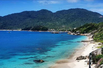 Discover Cham Island's Underwater Wonders: Scuba Diving Adventure for All Levels!